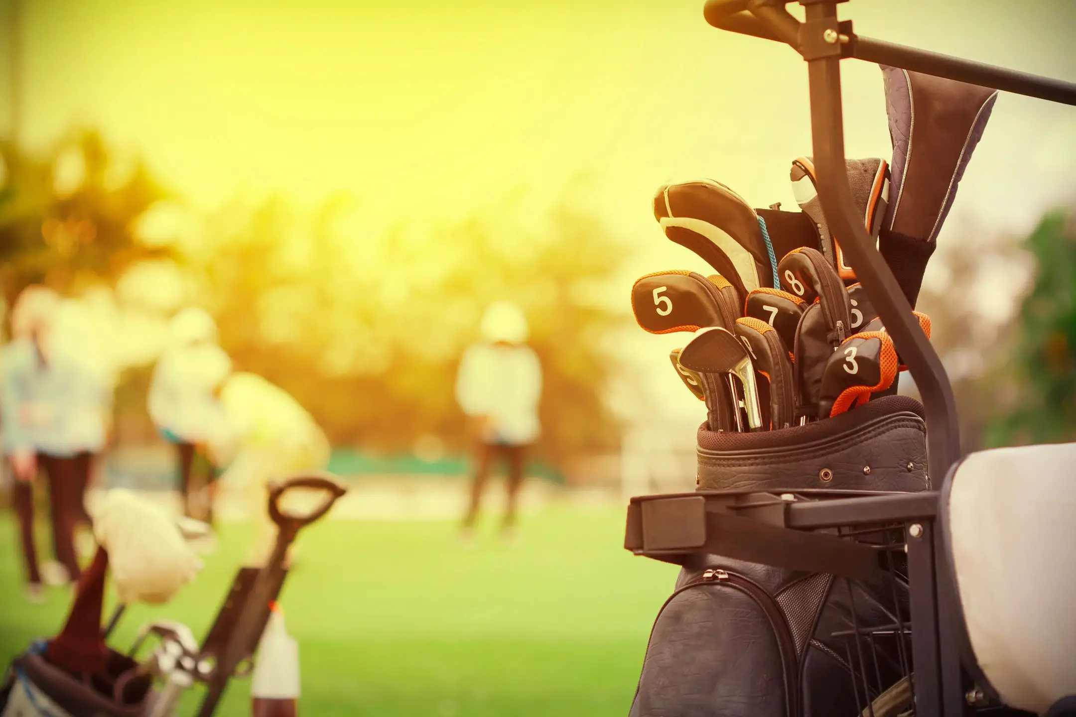 Do you use a power cart or push cart when playing a round of golf?