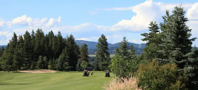 royal york golf club in armstrong BC okanagan golfing 768x350