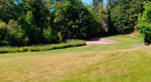 morningstar 3 300x163