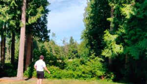 morningstar2 300x172