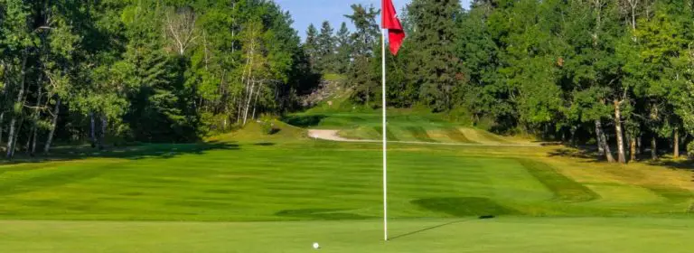 slideshow6 1030x376 2 768x280