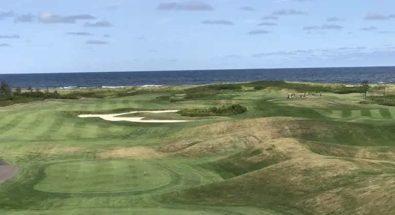 Crowbush down 15 768x418