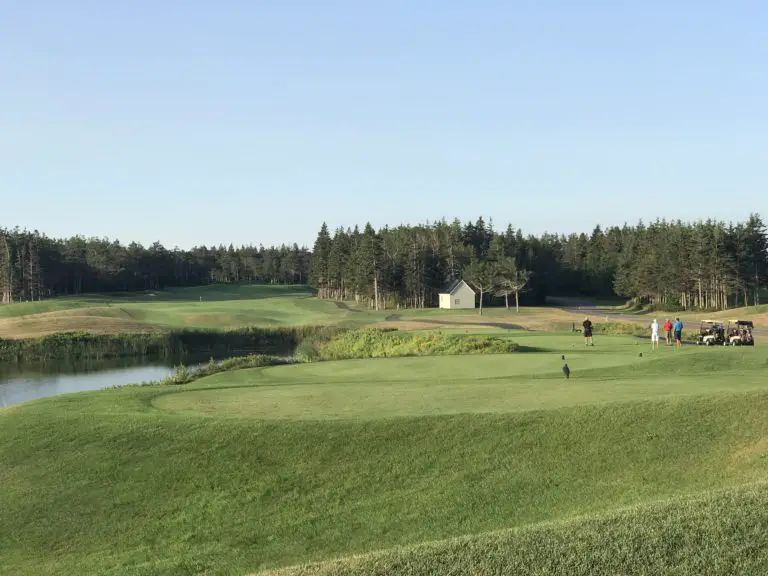 crowbush down 1 768x576