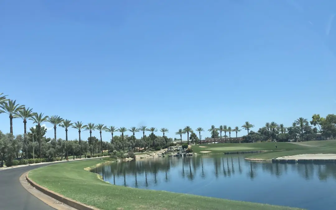 Ocotillo Golf Course Review: An Oasis in the Desert (and 27 Holes)
