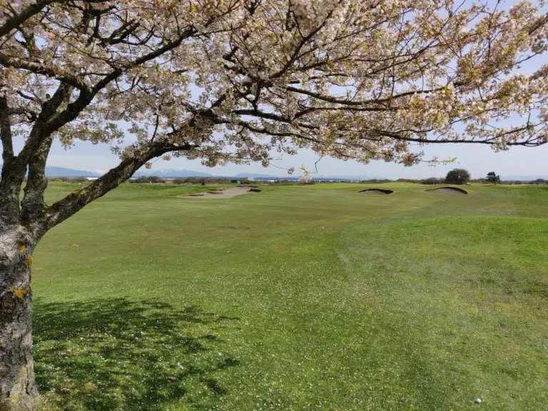 Kings Link 2 768x576