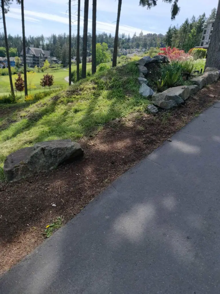 Bear MAountain 114342 768x1024