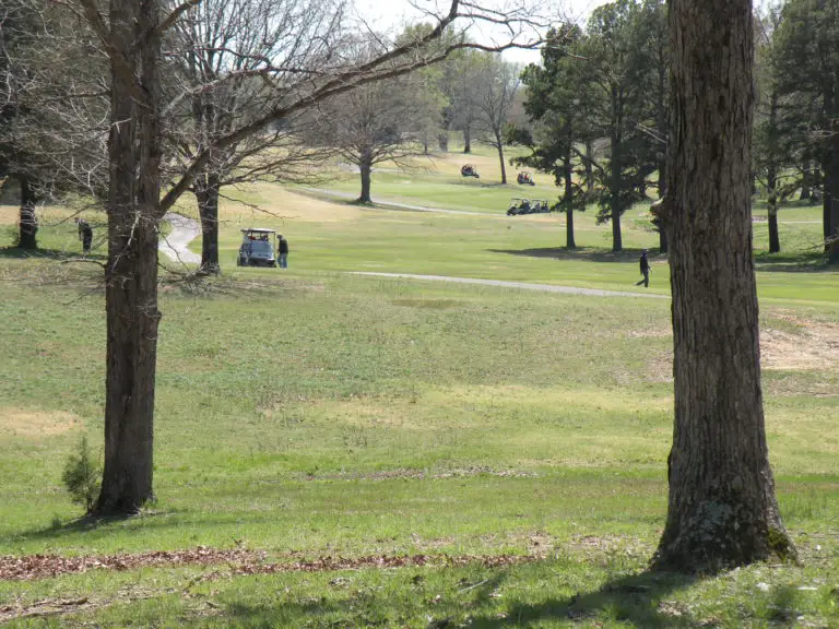 Chasing Par plays Ozark Ridge GC in Missouri 3 768x576
