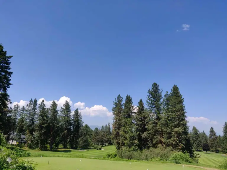 Gallaghers550 768x576