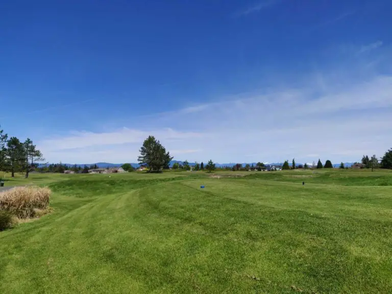 Morningstar 135655 768x576