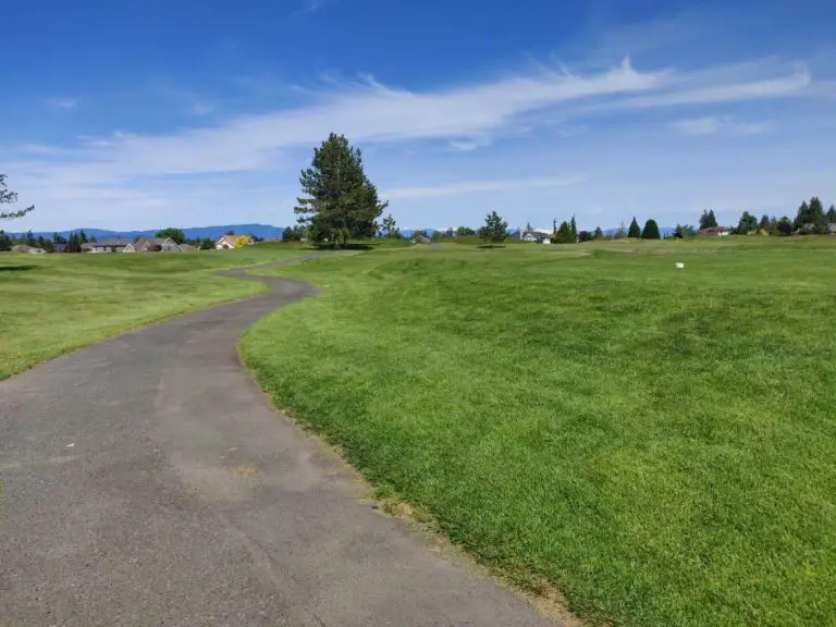 Morningstar 143121 768x576