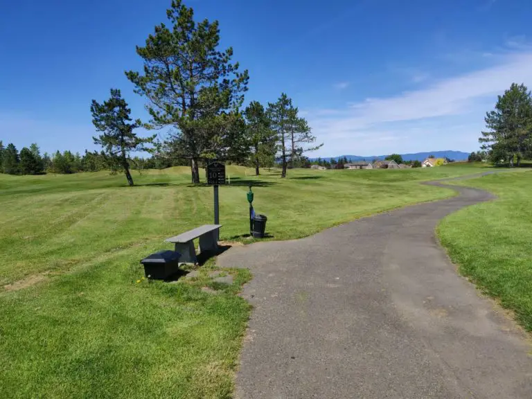 Morningstar 143122 768x576