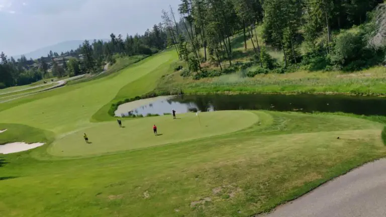 Predator ridge144900 768x432