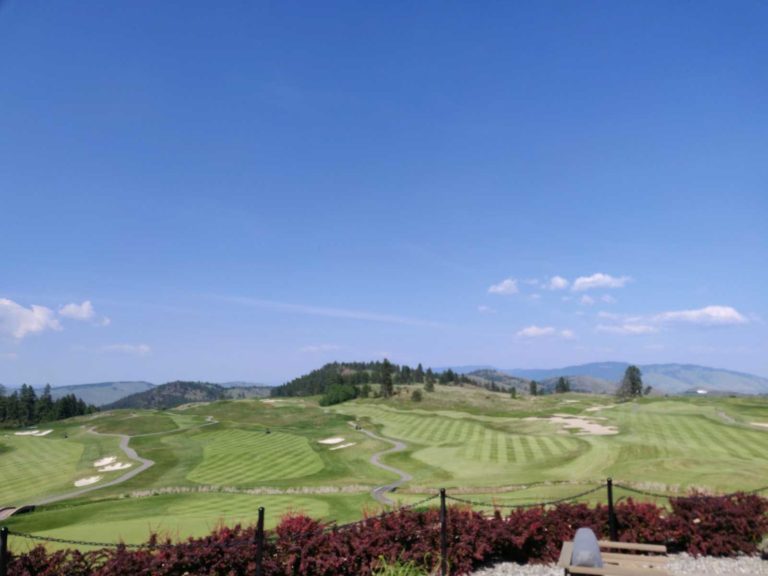 Predator ridge54158 768x576