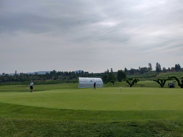 harvest gf 2 768x576